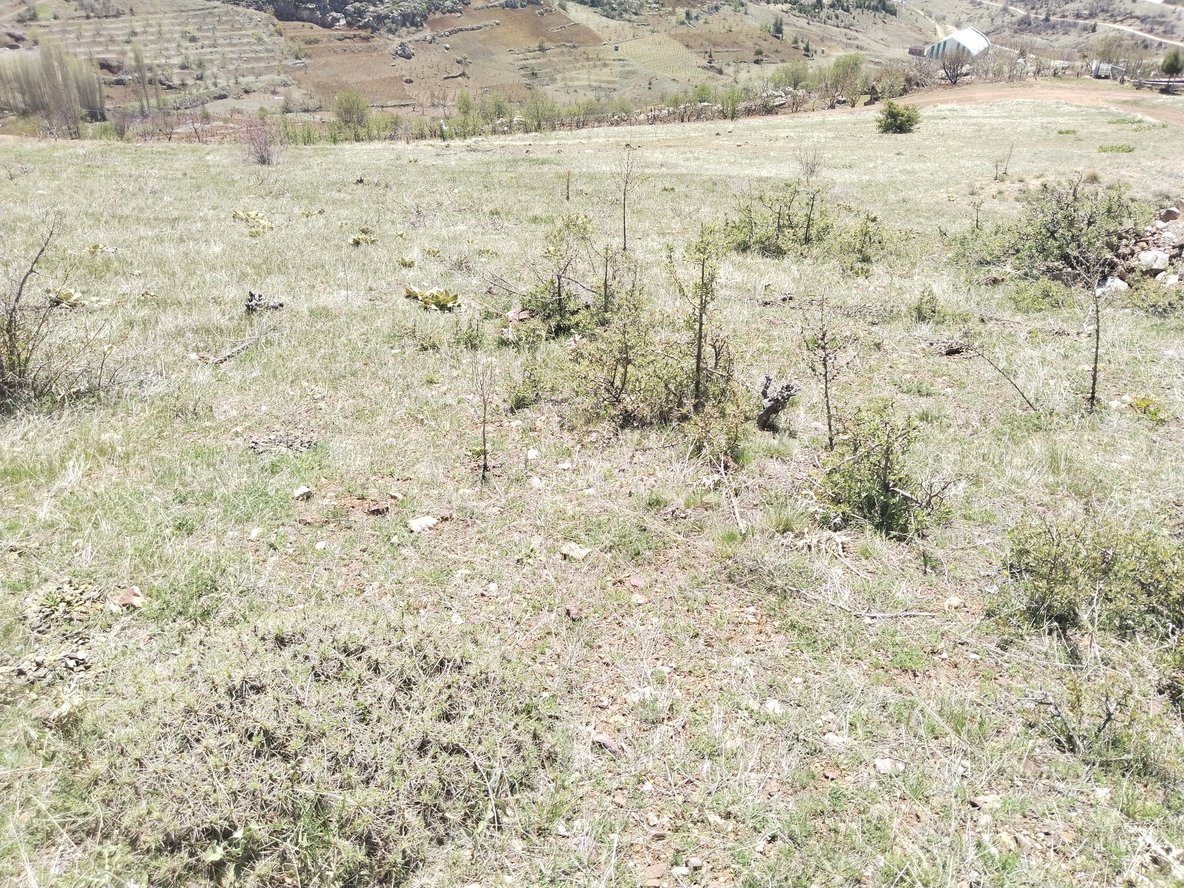 KONYA HADİM YUKARIEŞENLER KÖYÜ'NDE 653 M² TARLAMIZ SATILIKTIR - KONYA HADİM fotoğraf 15